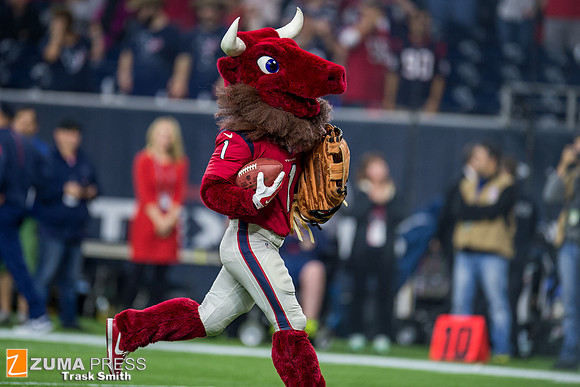 NFL 2015 - New England Patriots defeat Houston Texans 27-6