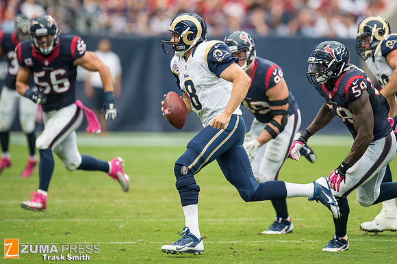 NFL 2013 - Houston Texans vs St. Louis Rams