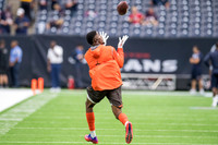 NFL 2017: Browns vs Texans OCT 15
