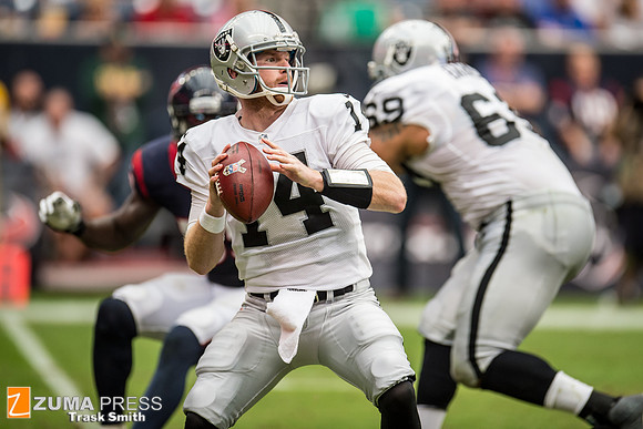 NFL 2013 - Houston Texans vs Oakland Raiders