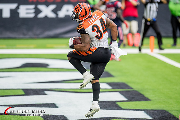 NFL 2020: Bengals vs Texans DEC 27