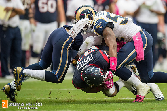 NFL 2013 - Houston Texans vs St. Louis Rams