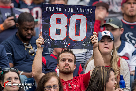 NFL 2017: Cardinals vs Texans NOV 19