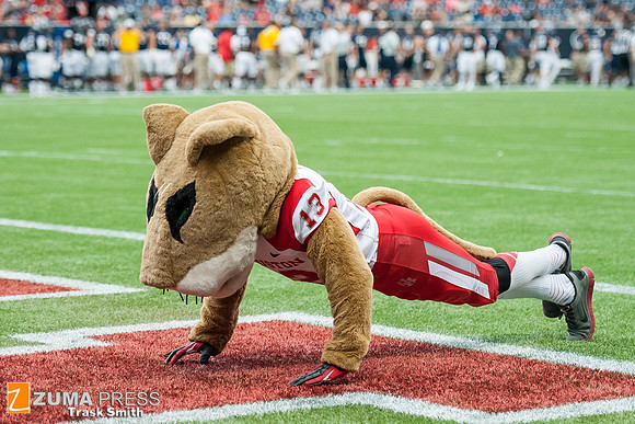 NCAA football 2013 - Houston Cougars vs. Rice Owls