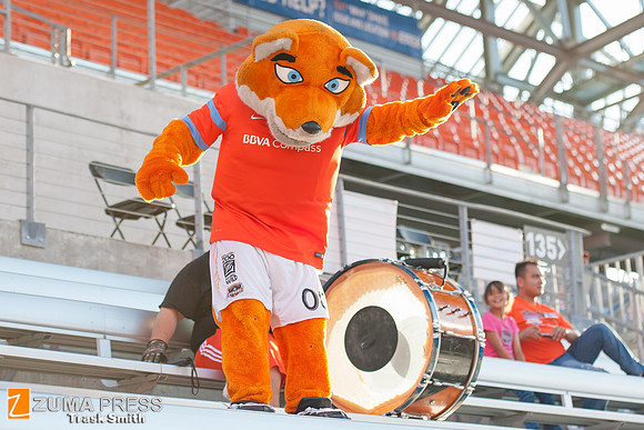 NWSL 2014 - Houston Dash vs Western New York Flash