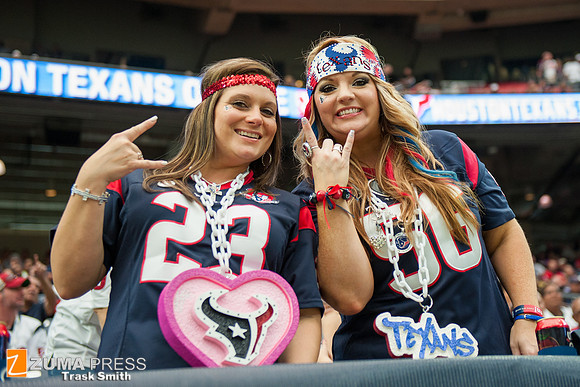 NFL 2014 - Houston Texans vs Buffalo Bills