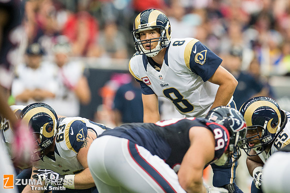 NFL 2013 - Houston Texans vs St. Louis Rams
