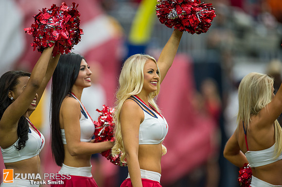 NFL 2014 - Houston Texans vs Buffalo Bills