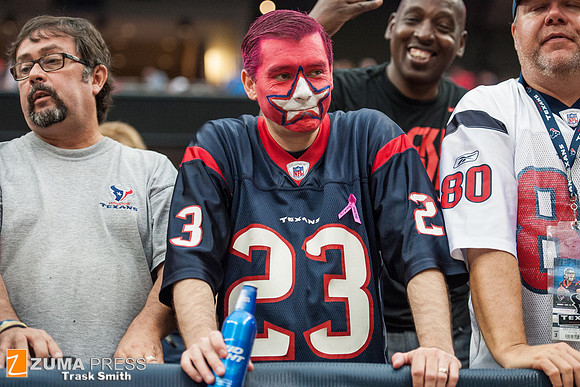 NFL 2013 - Houston Texans vs St. Louis Rams