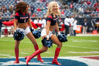 NFL 2013 - Houston Texans vs Jacksonville Jaguars