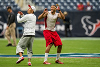 NFL 2014 - Houston Texans vs San Francisco 49ers
