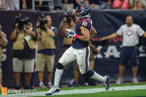 NFL 2015 - Houston Texans vs San Francisco 49ers