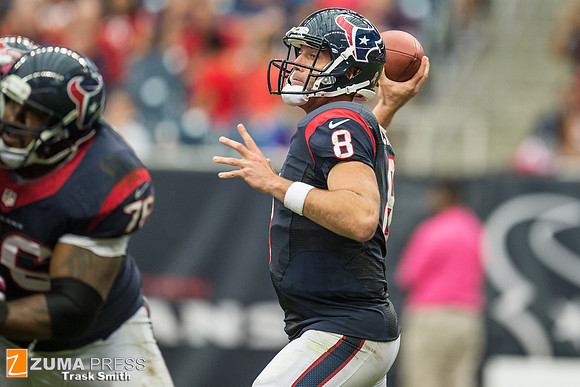 NFL 2013 - Houston Texans vs St. Louis Rams