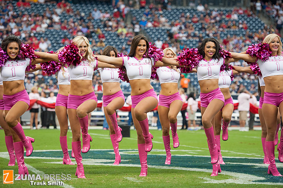 NFL 2013 - Houston Texans vs St. Louis Rams