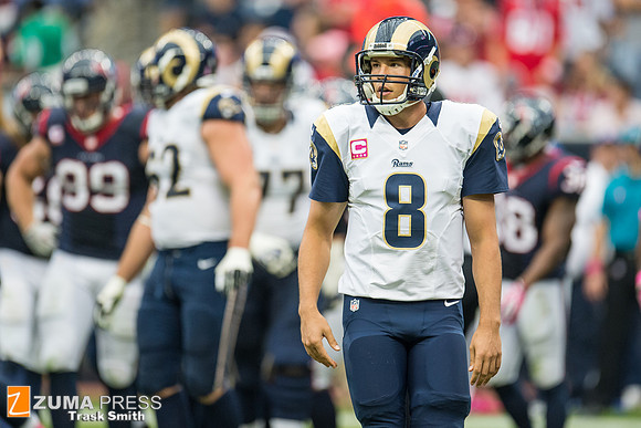 NFL 2013 - Houston Texans vs St. Louis Rams