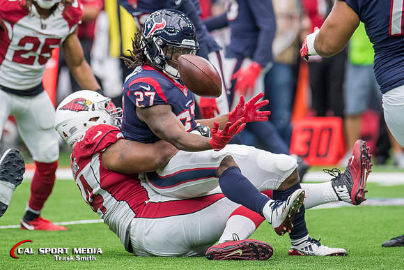 NFL 2017: Cardinals vs Texans NOV 19