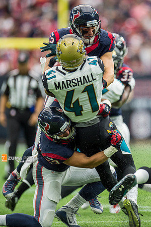 NFL 2016 - Houston Texans defeat Jacksonville Jaguars 30-6