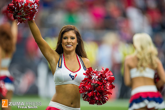 NFL 2014 - Houston Texans vs Buffalo Bills