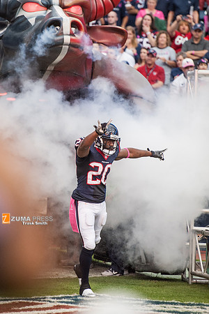NFL 2013 - Houston Texans vs St. Louis Rams